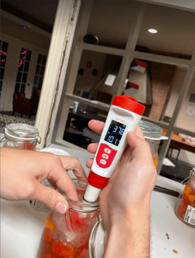 The Pickled Tomato Experiment