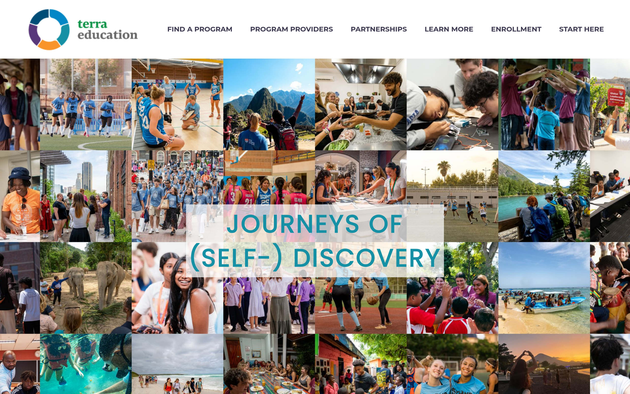 Terra Education preview